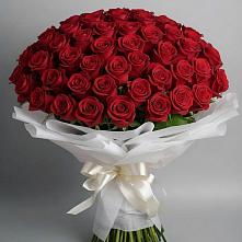 Букет 101 Красная роза Блэк Мэджик в Новогремяченском