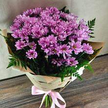 Букет цветов из:  Хризантемы #REPLACE_PRED# Новогремяченском
