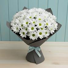 Букет цветов из:  Хризантемы #REPLACE_PRED# Новогремяченском