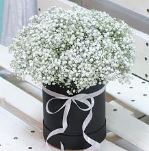 Цветочная композиция из Гипсофила в шляпной коробке #REPLACE_PRED# Новогремяченском