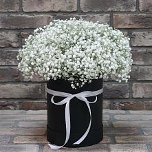 Цветочная композиция из Гипсофила в шляпной коробке в Новогремяченском