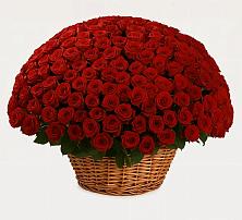 Премиум букет из: Розы в Новогремяченском